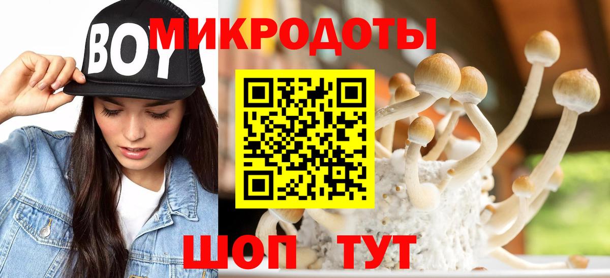купить наркотики сайты  Псилоцибиновые грибы Psilocybe  Зима  Вход с VPN  Псилоцибиновые грибы ЛСД 